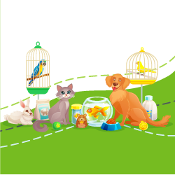 partner Panda Zoo Boutique